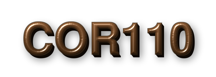 SITUS COR110